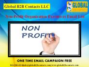 Non-Profit Organization Executives Email List