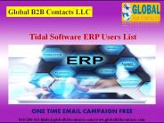 Tidal Software ERP Users List