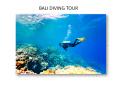 Book Bali diving tour package from India at affordable price -AnjnaGlobal PowerPoint PPT Presentation