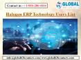 Halogen ERP Technology Users List PowerPoint PPT Presentation