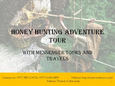 Honey Hunting Adventure Tour