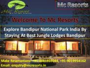 Bandipur National Park India