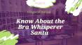 Know About The Bra Whisperer Santa at Lingerie Social PowerPoint PPT Presentation
