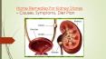 Home Remedies for Kidney Stones, Causes, Symptoms, Treatment &amp; Dissolve PowerPoint PPT Presentation