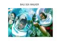 Bali sea walker tour packages from India at the best amazing price PowerPoint PPT Presentation