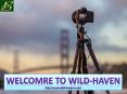 Welcome To Wild haven PowerPoint PPT Presentation