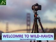 Welcome To Wild haven