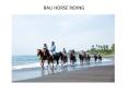 Book Bali horse riding tour package from India at the best price-AnjnaGlobal PowerPoint PPT Presentation