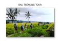 Bali trekking tour package from India at the best discounted price