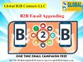 B2B Email Appending PowerPoint PPT Presentation