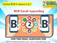 B2B Email Appending