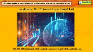 Avalanche MC Network Users Email List