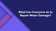 What Can Everyone do to Repair Water Damage?