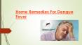Home Remedies For Dengue Fever, Symptoms, Causes, Prevention and Tips PowerPoint PPT Presentation