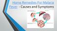Malaria Fever: Home Remedies, Causes, Symptoms, and Prevention Tips PowerPoint PPT Presentation