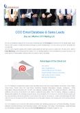 CCO Mailing Lists- USA PowerPoint PPT Presentation