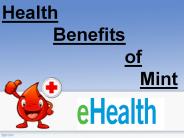 Health Benefits of Mint