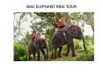 Bali elephant ride tour package at the best discounted price-AnjnaGlobal