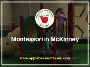 Applebee Montessori in McKinney – Applebee (1)