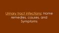 Home remedies for Urinary tract infection, causes, and symptoms PowerPoint PPT Presentation
