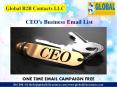 CEO email list PowerPoint PPT Presentation
