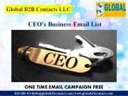 CEO email list