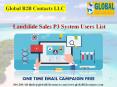 Landslide Sales P3 System Users List PowerPoint PPT Presentation