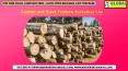 Lumber and Wood Products Executives List PowerPoint PPT Presentation