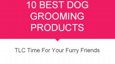 10 Best Dog Grooming Products