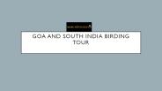 south india birding tour