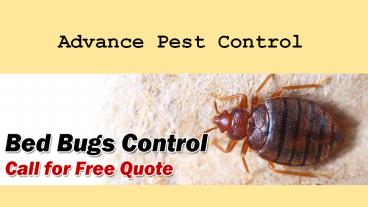Advance Pest Control