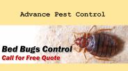 Advance Pest Control