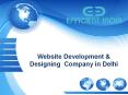 Affordable Website Designing & Development Company in Delhi