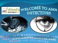 Private Investigator in Delhi PowerPoint PPT Presentation