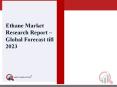 Ethane Market 2019– Premium Insight, Industry Trends, Competitive News Feed Analysis, Company Usability Profiles, Market Sizing & Forecasts to 2023 PowerPoint PPT Presentation