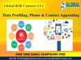 Data Profiling, Phone & Contact Appending PowerPoint PPT Presentation