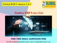 Zimbra ERP Users List