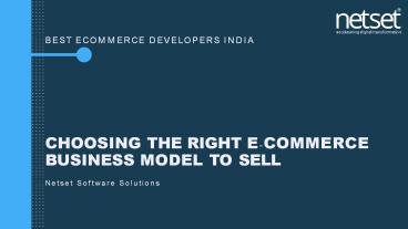 Best ecommerce Developers India - Netset Software Solutions