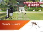 mosquito control system