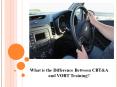 What is the Difference Between CBT&A and VORT Training? PowerPoint PPT Presentation
