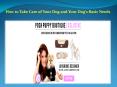 How to Take Care of Your Dog and Your Dog’s Basic Needs PowerPoint PPT Presentation