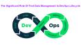 The Significant Role Of Test Data Management In DevOps Lifecycle PowerPoint PPT Presentation