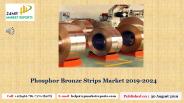 Phosphor Bronze Strips Market 2019-2024