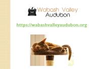 Multi Level Cat Tower With Scratchers