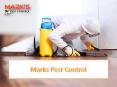 Professional Pest Control Service Provider in Melbourne PowerPoint PPT Presentation