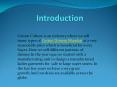 Women dresses online PowerPoint PPT Presentation