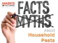 Myths and Facts About House Pests PowerPoint PPT Presentation