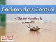 Cockroaches Control Tips PowerPoint PPT Presentation