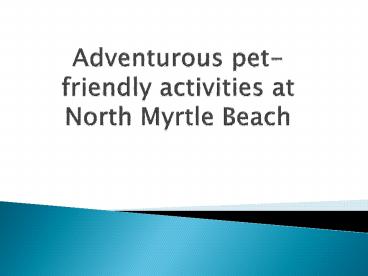 Adventurous pet-friendly activities at North Myrtle Beach