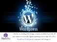 Need for WordPress Development Company in India PowerPoint PPT Presentation